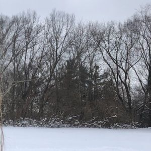 Meet your Posher, Eemma